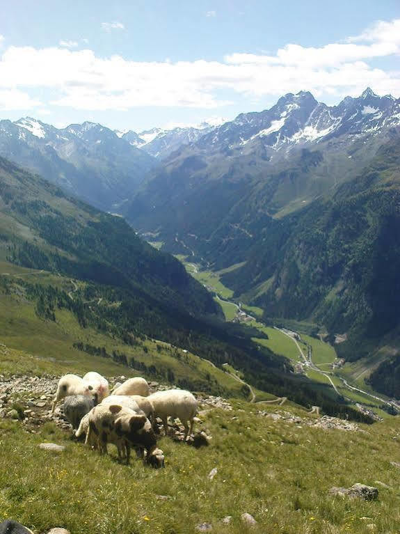 Ferienwohnung Bergspitz Sankt Leonhard im Pitztal Ngoại thất bức ảnh